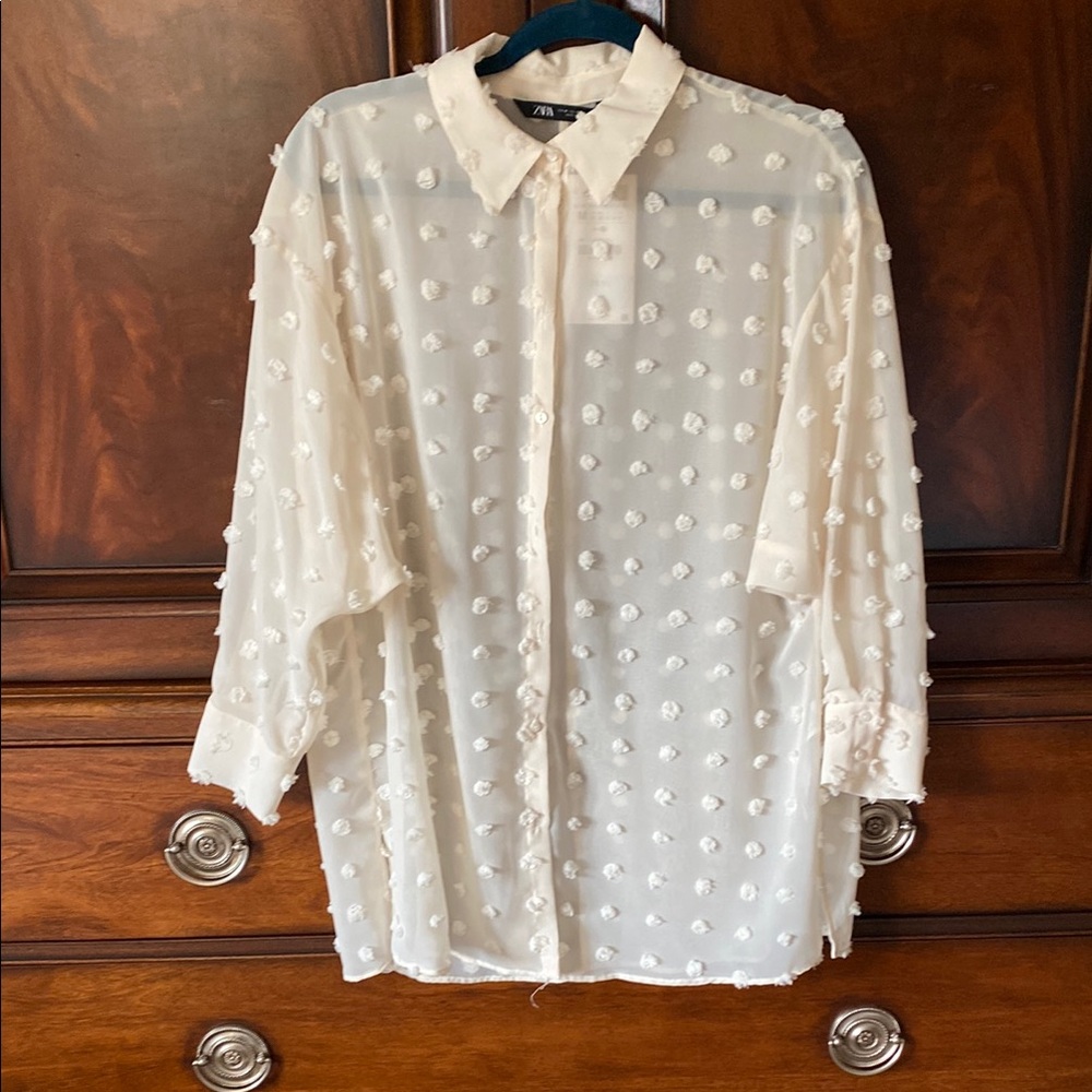 Zara Sheer Polka Dot Blouse. Sheer tunic.
